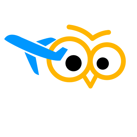 Fly Go